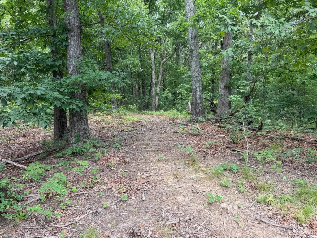 Picture 22
