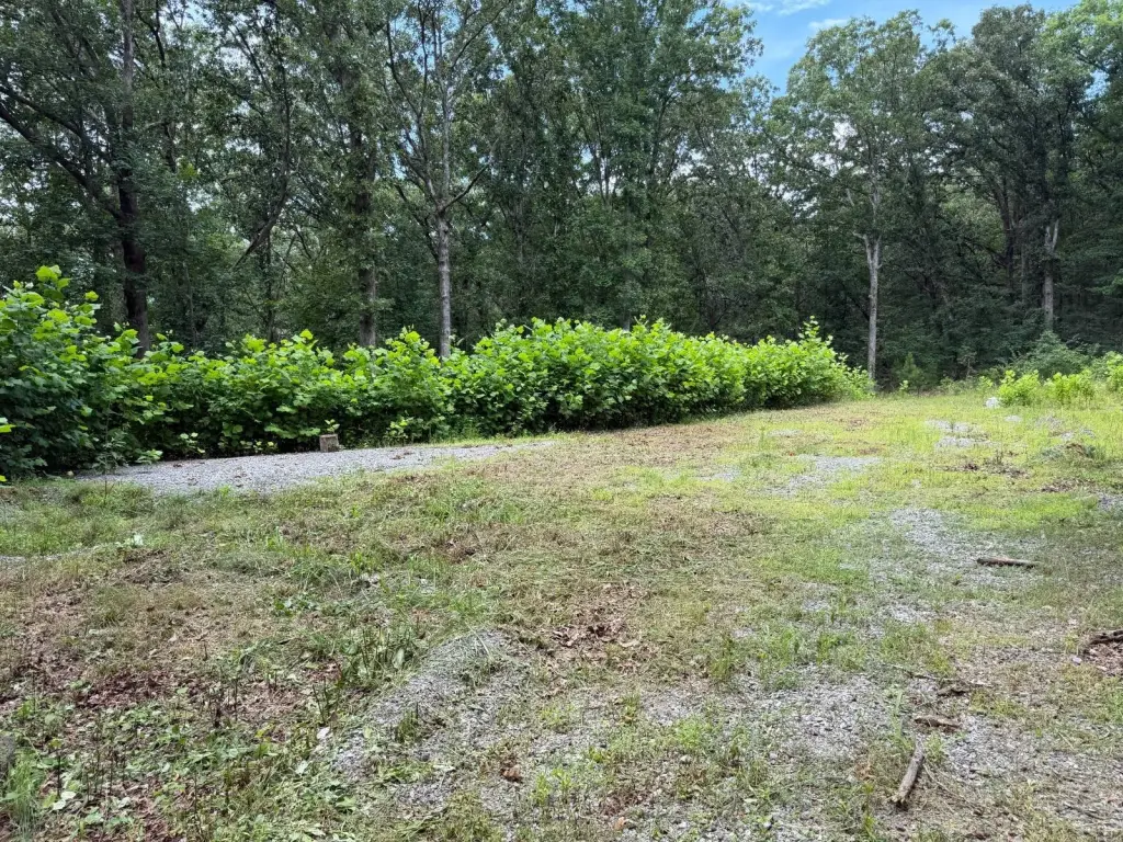 Picture 18