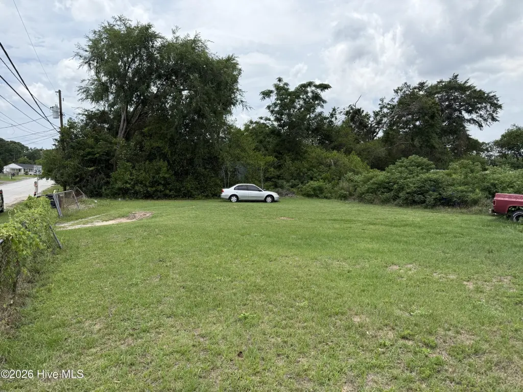 Picture 3