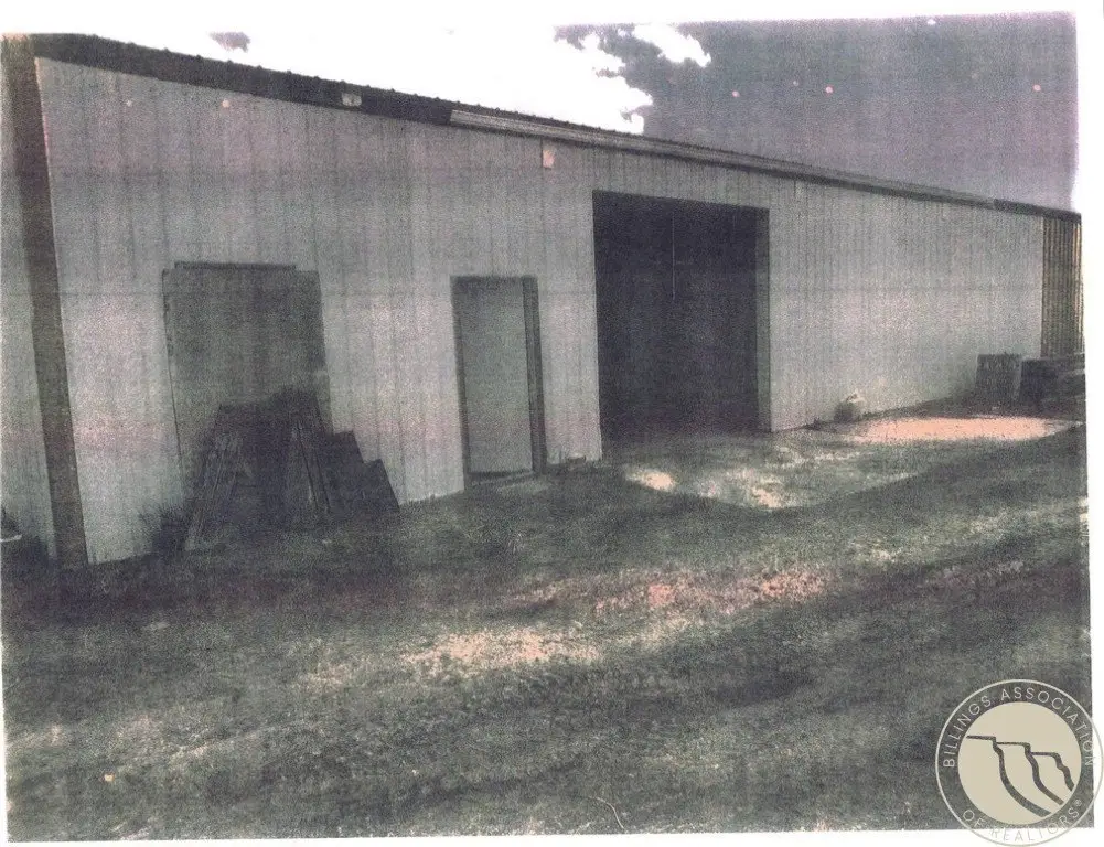 Picture 7