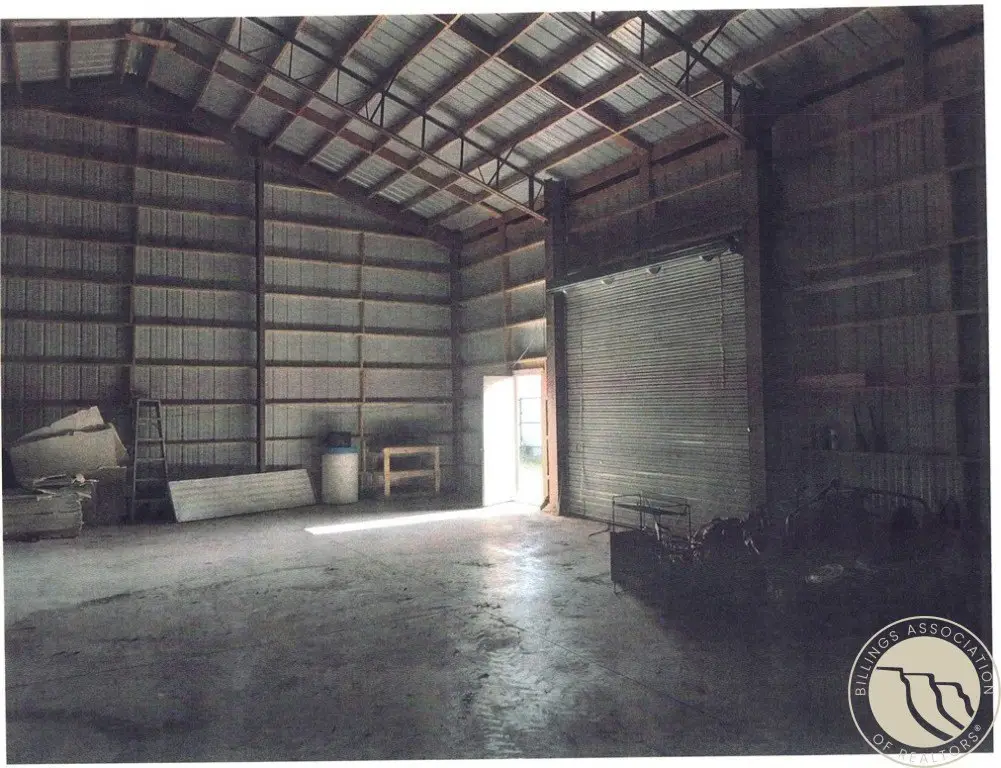 Picture 5