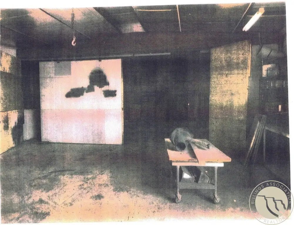 Picture 11