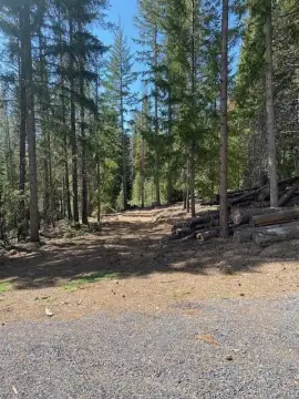 Recreational Lots Near Crescent Lake