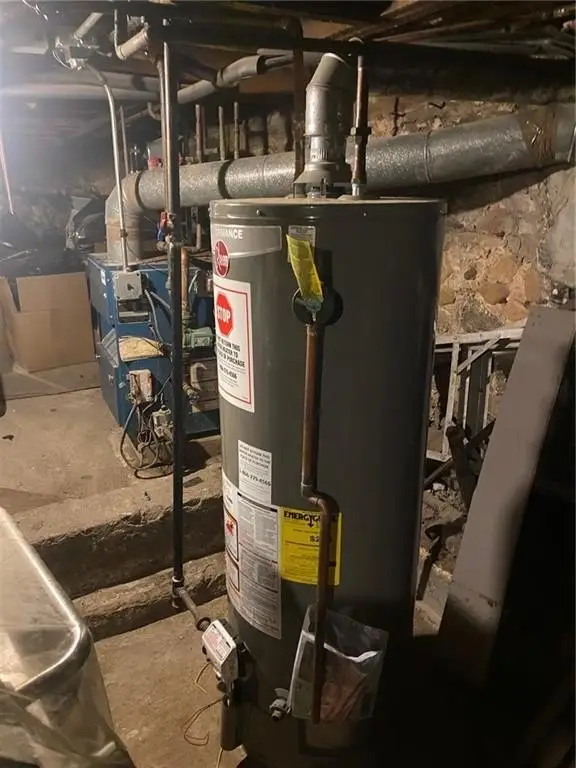 Picture 15