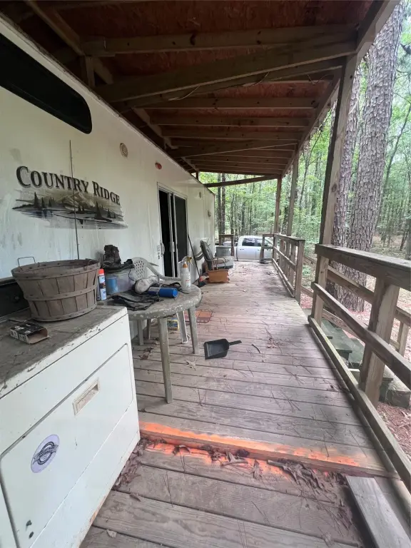 Picture 23