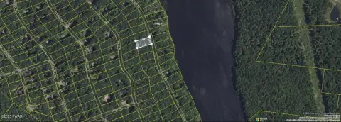 Wooded Lot in Paupacken Estates