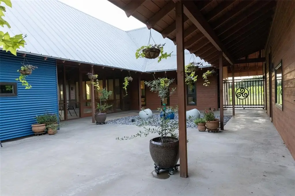 Picture 5