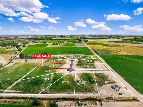 Two Acres in Wine Country