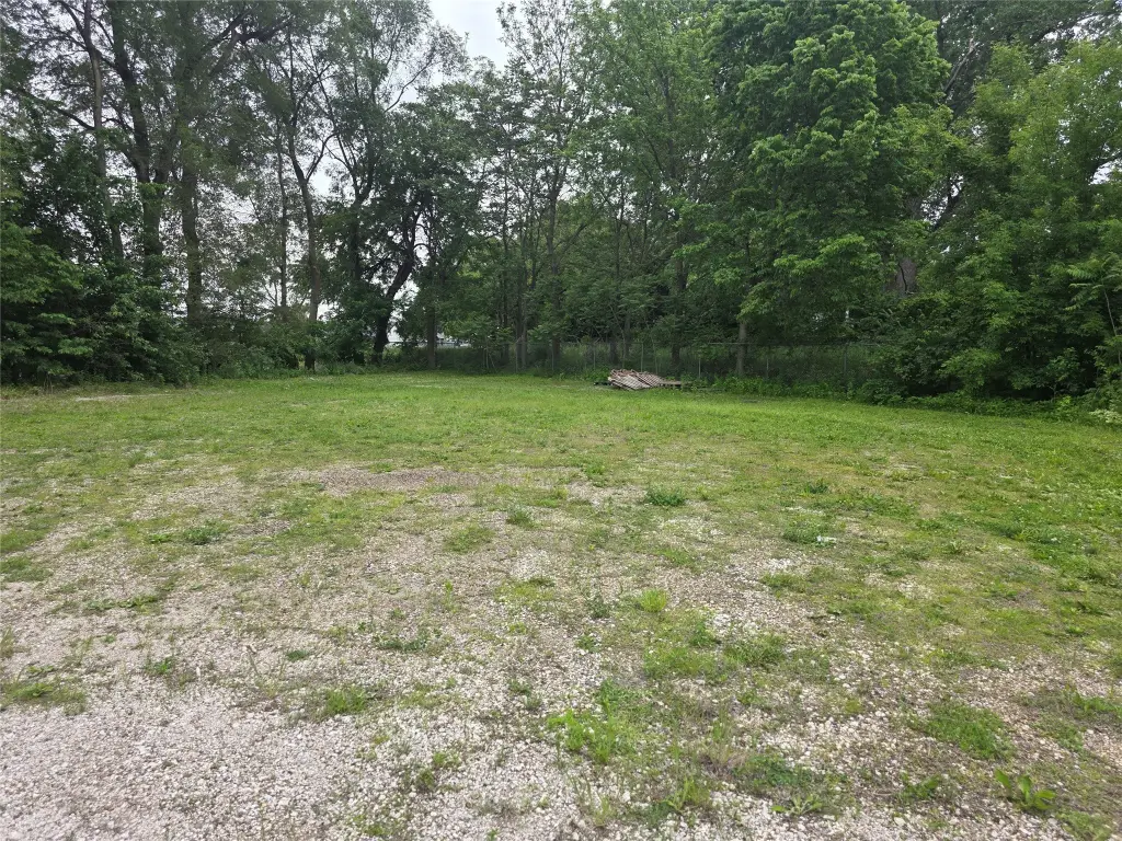 Picture 2