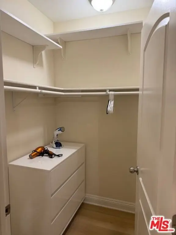 Picture 24