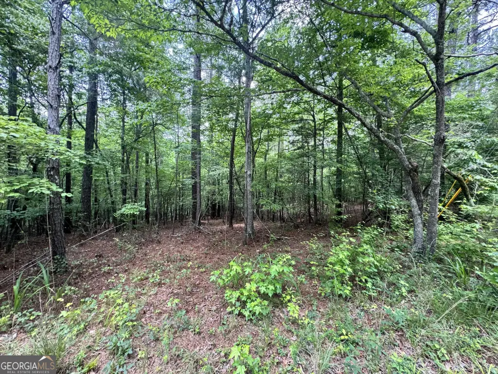 Picture 6