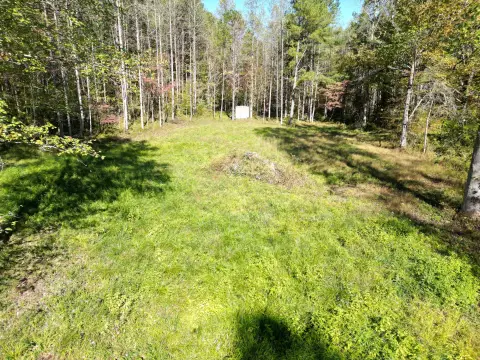 60 Acres of Kentucky Wilderness