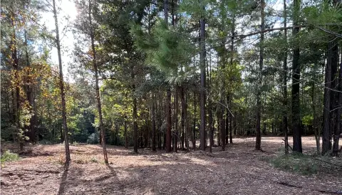 Residential Land in Purvis, MS