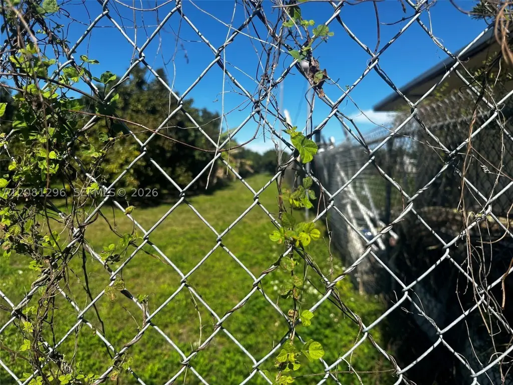 Picture 8