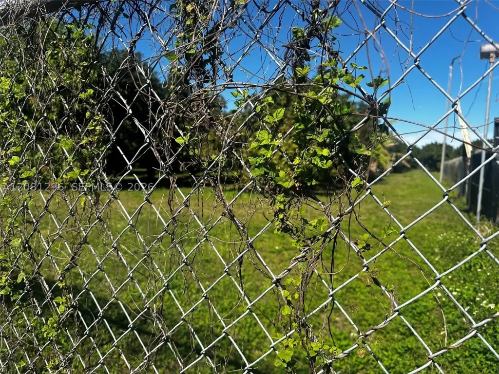 Picture 7