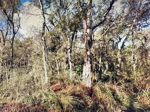 Residential Acreage in Ridge Manor