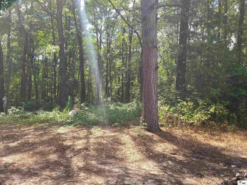 Picture 5