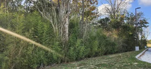 Baton Rouge Commercial Land Available