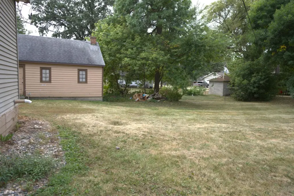 Picture 8