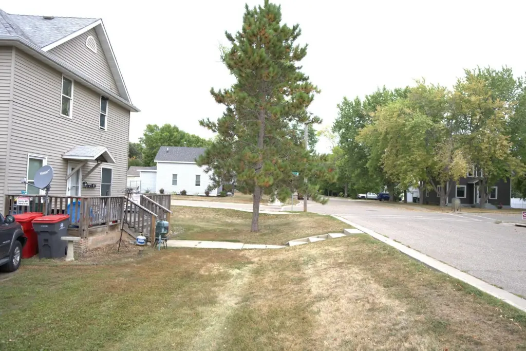 Picture 12