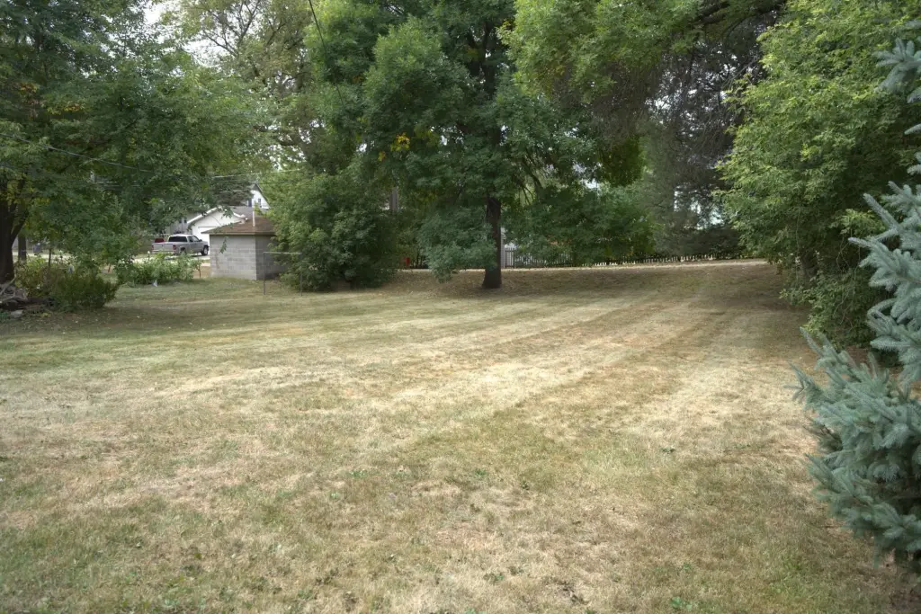 Picture 7