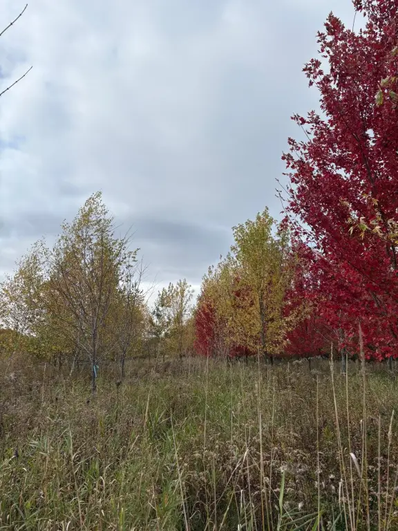 Picture 26