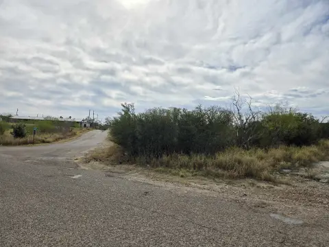 Residential Land in Zapata, TX