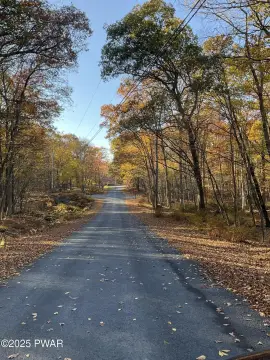 Flat Wooded Lot in Poconos