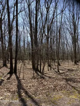 Wooded Lot in Woodledge Village