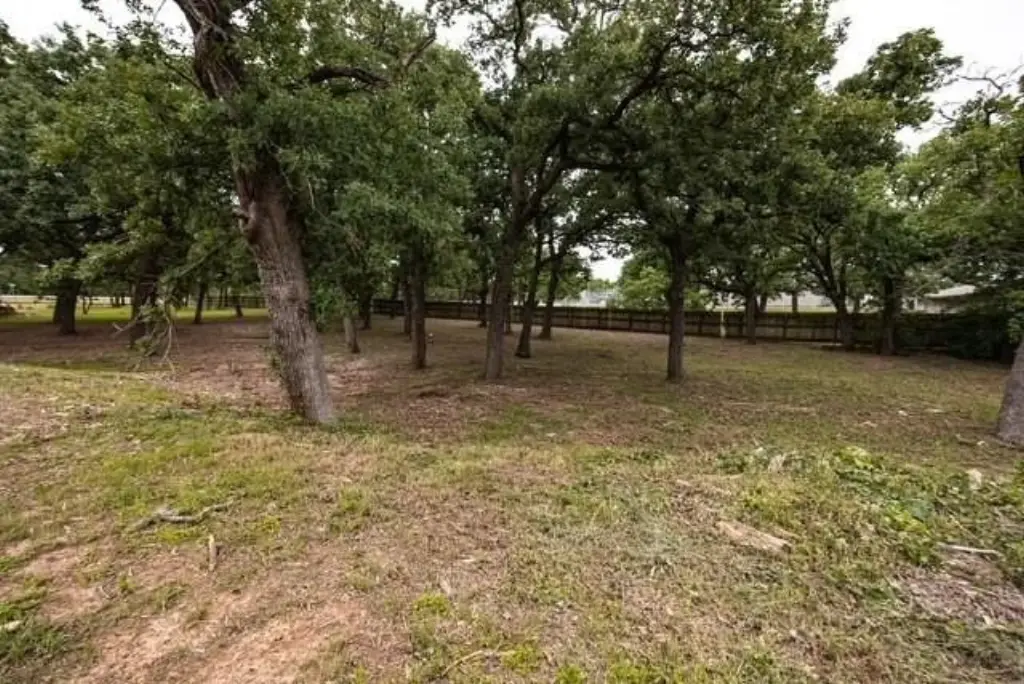 Picture 37