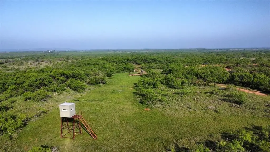 Picture 30