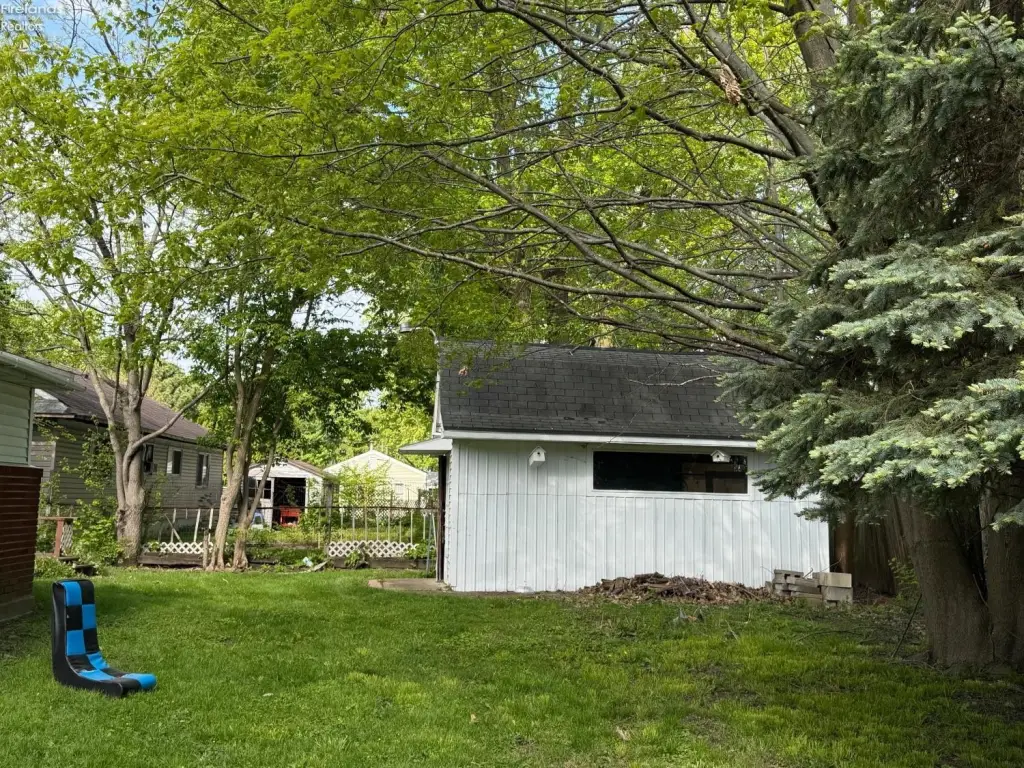 Picture 6