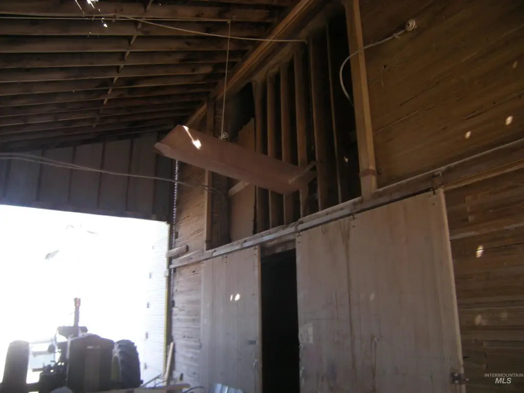 Picture 5