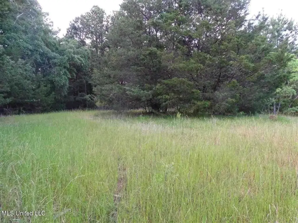 Picture 14