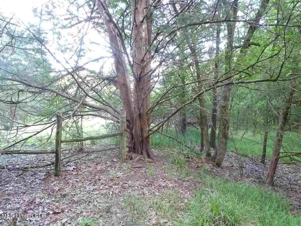 Picture 13
