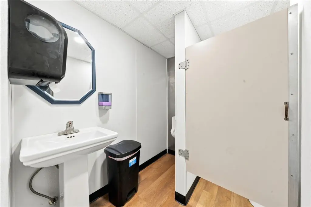 Picture 21