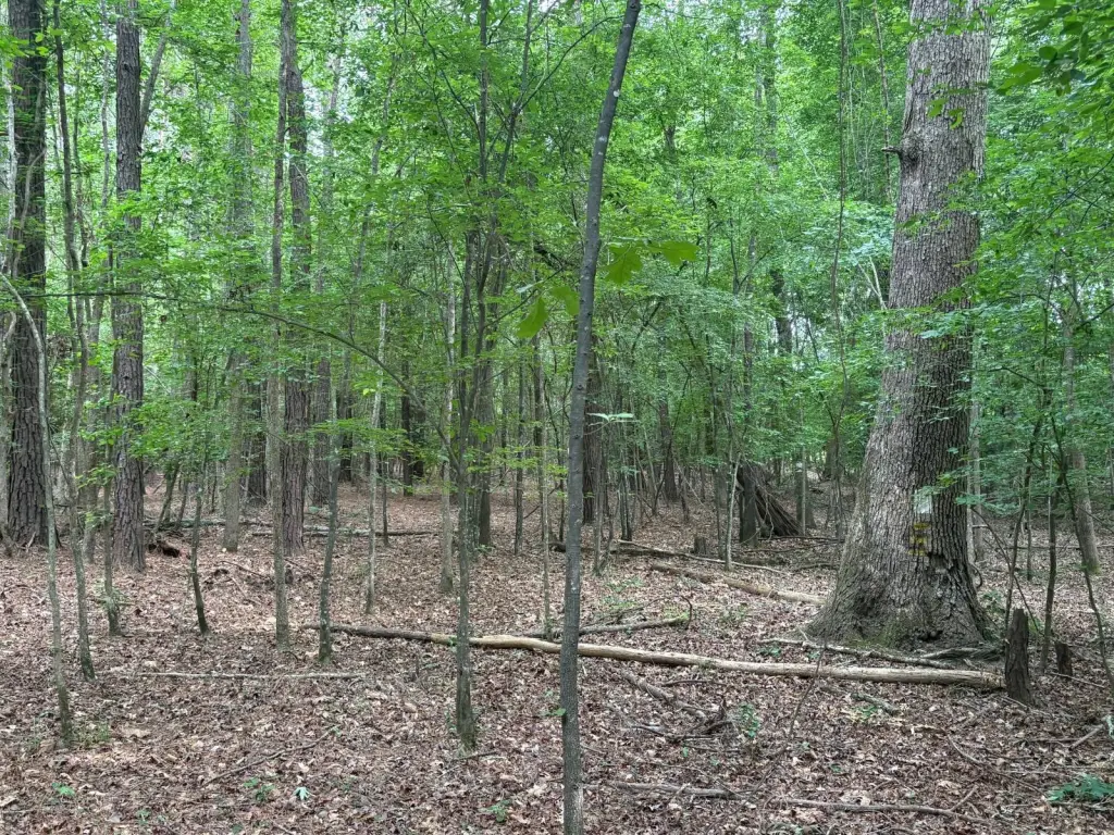 Picture 23