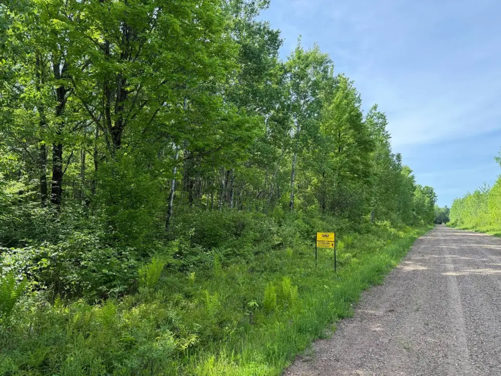 Picture 23