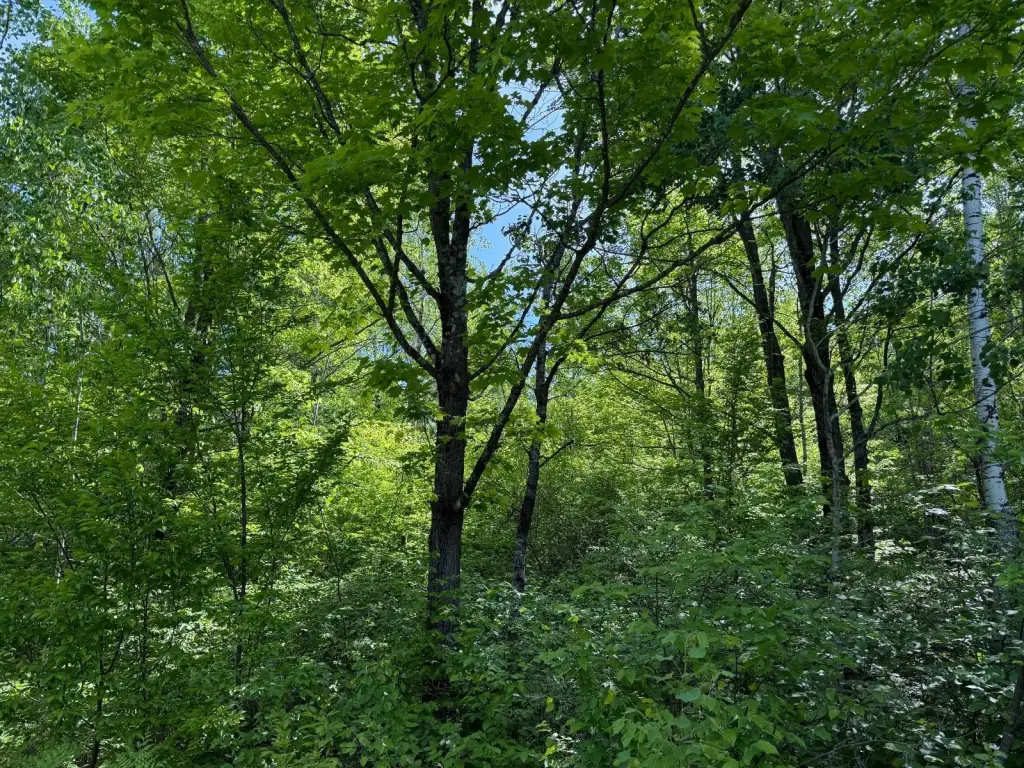 Picture 3