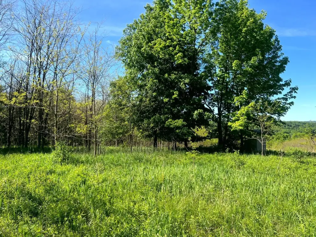 Picture 16