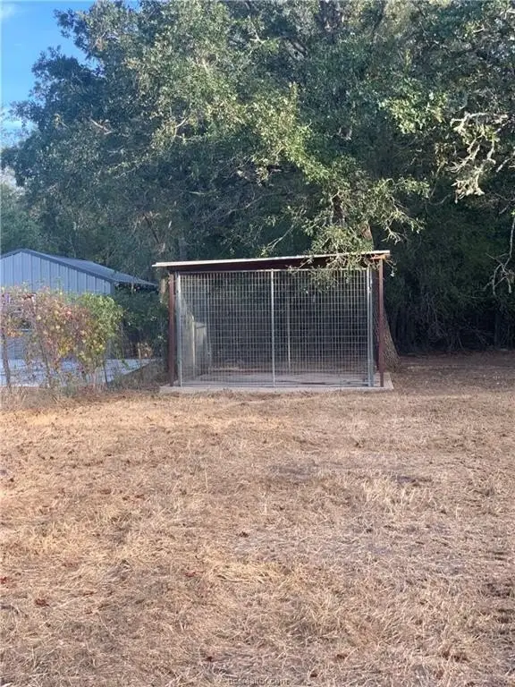 Picture 21