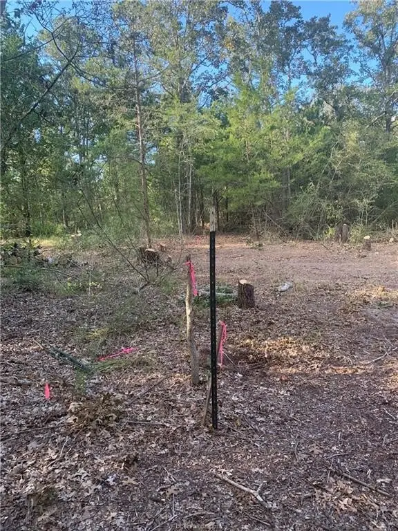 Picture 23