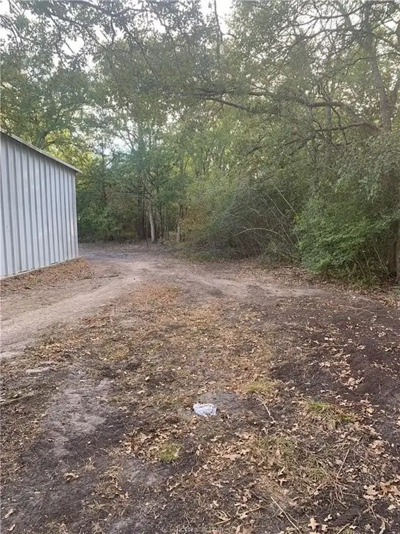 Picture 32