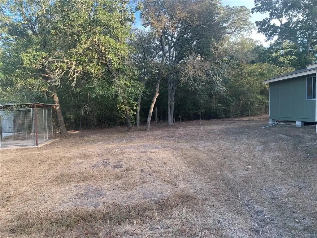 Picture 41