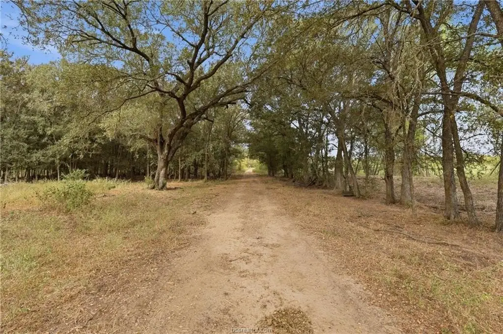 Picture 22
