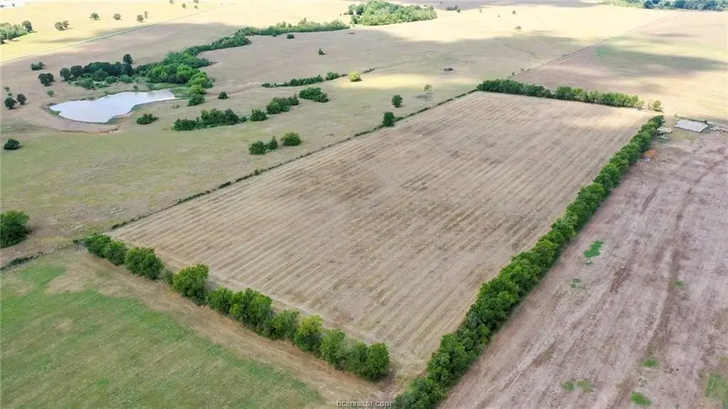 Picture 36