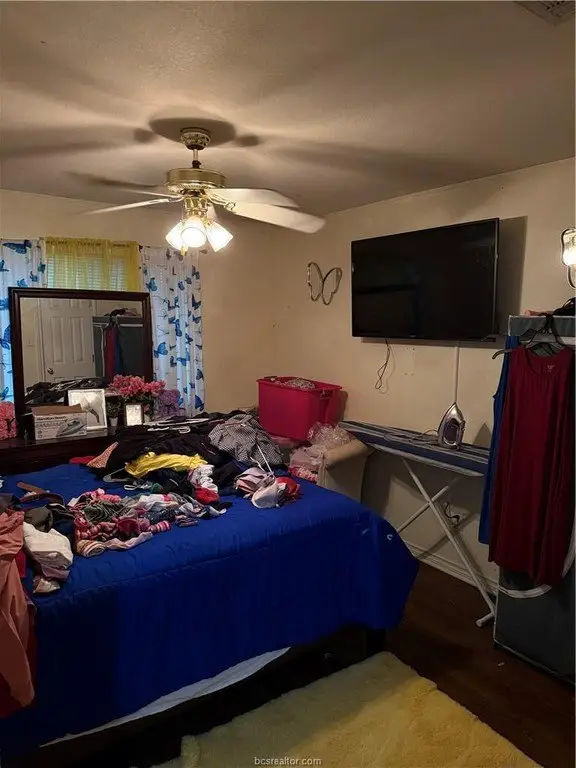 Picture 28