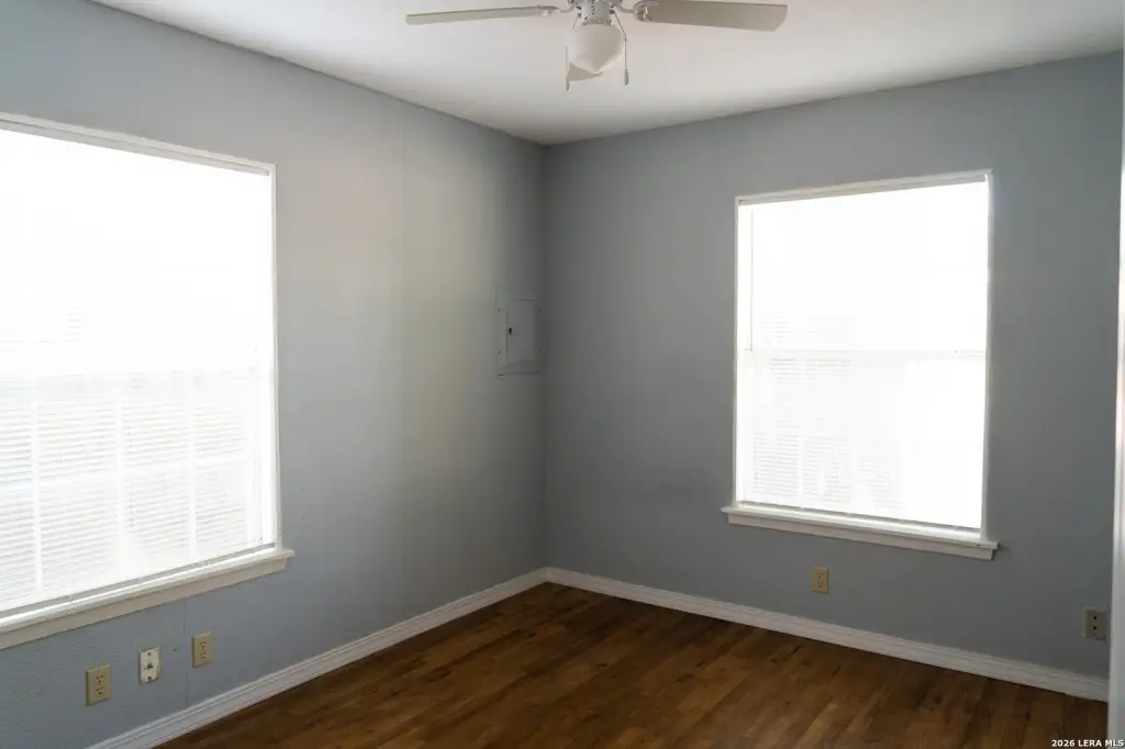 Picture 5