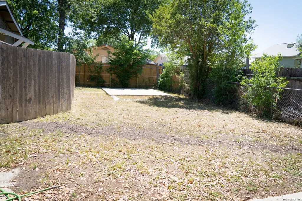 Picture 15