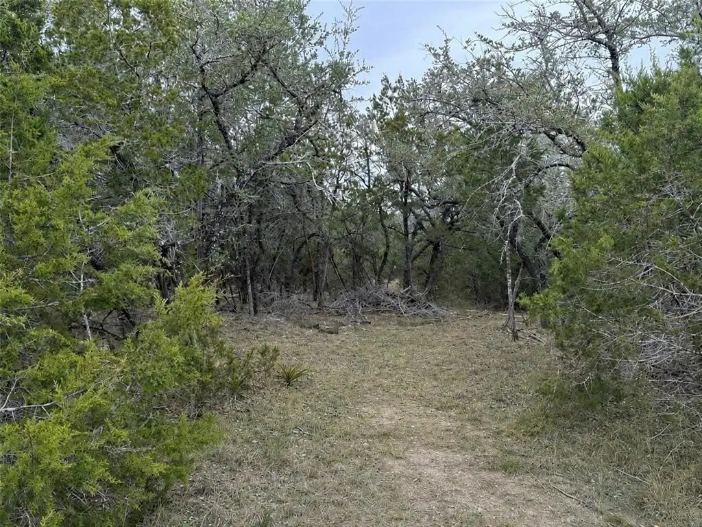Picture 10